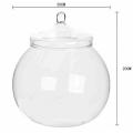 Mundgeblasenes Glas Terrarium Container Pflanze Blumendekor